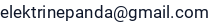 El. paštas