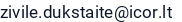 El. paštas