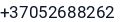 Telefonas