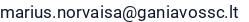 El. paštas