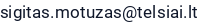 El. paštas