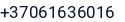 Telefonas