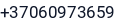 Telefonas