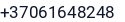 Telefonas