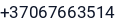 Telefonas