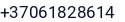 Telefonas