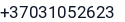 Telefonas