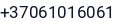 Telefonas