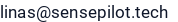 El. paštas