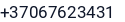 Telefonas