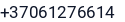 Telefonas