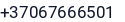 Telefonas