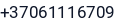 Telefonas