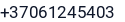 Telefonas