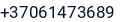 Telefonas