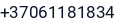 Telefonas