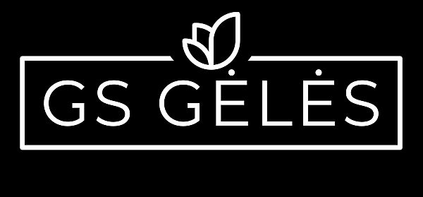 logotipas